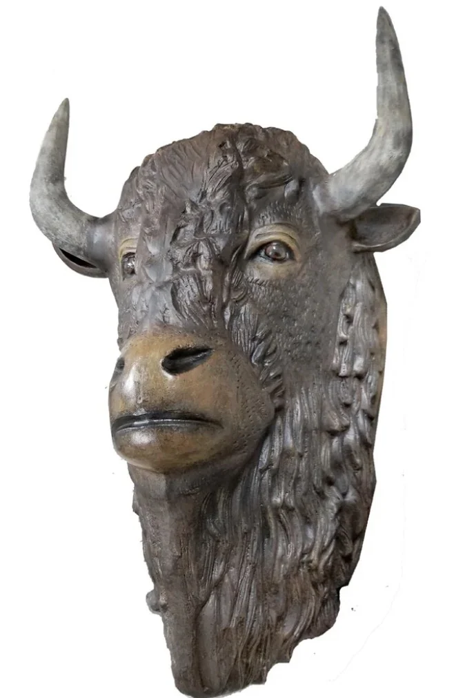 Buffalo Head