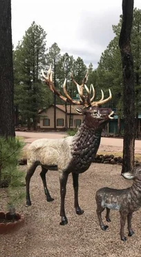 Elk