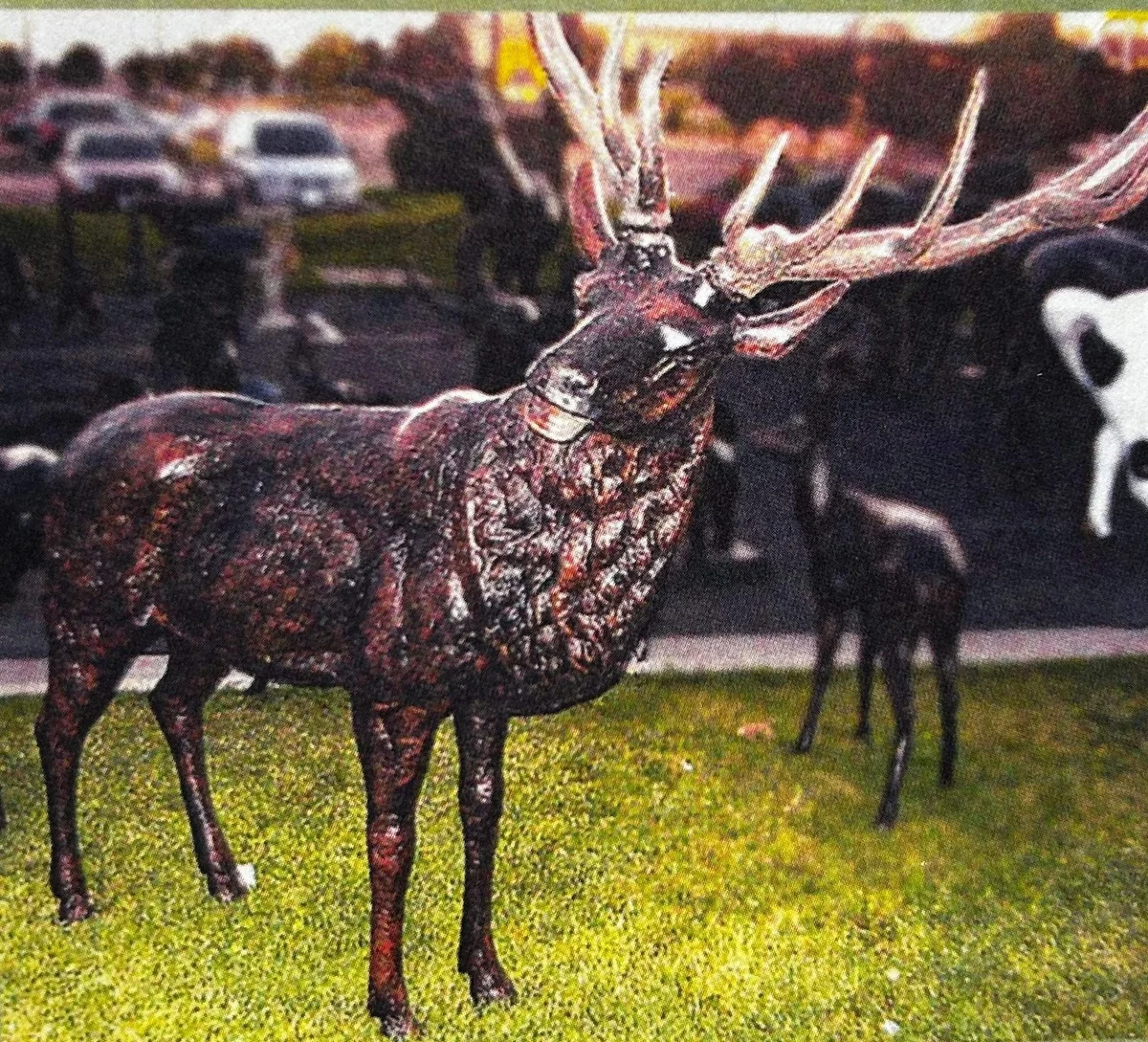 Elk Facing Left