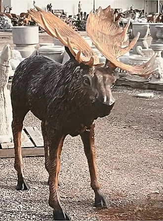 Moose