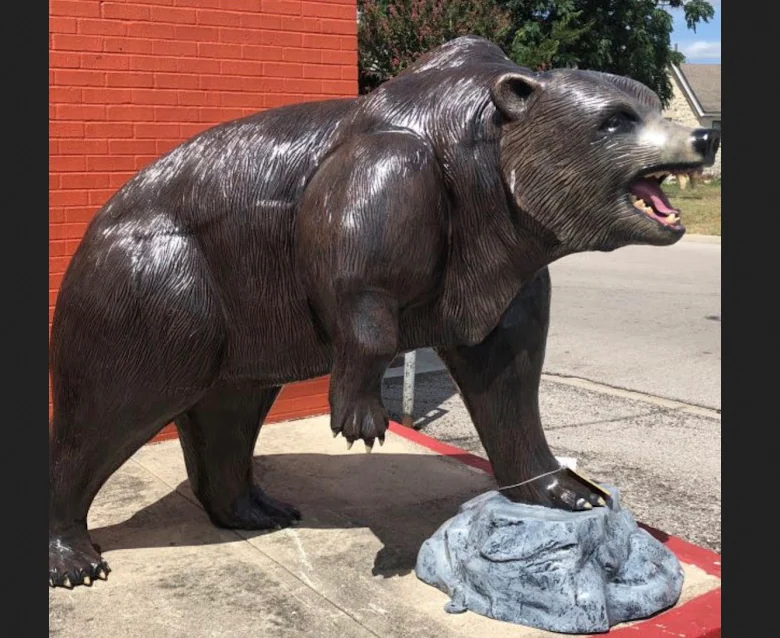 Grizzly on stone