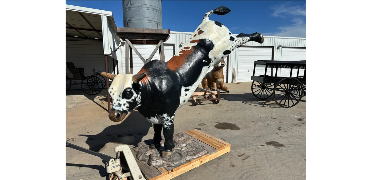 Rodeo Bull