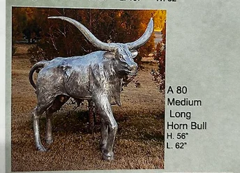 Medium Long Horn Bull