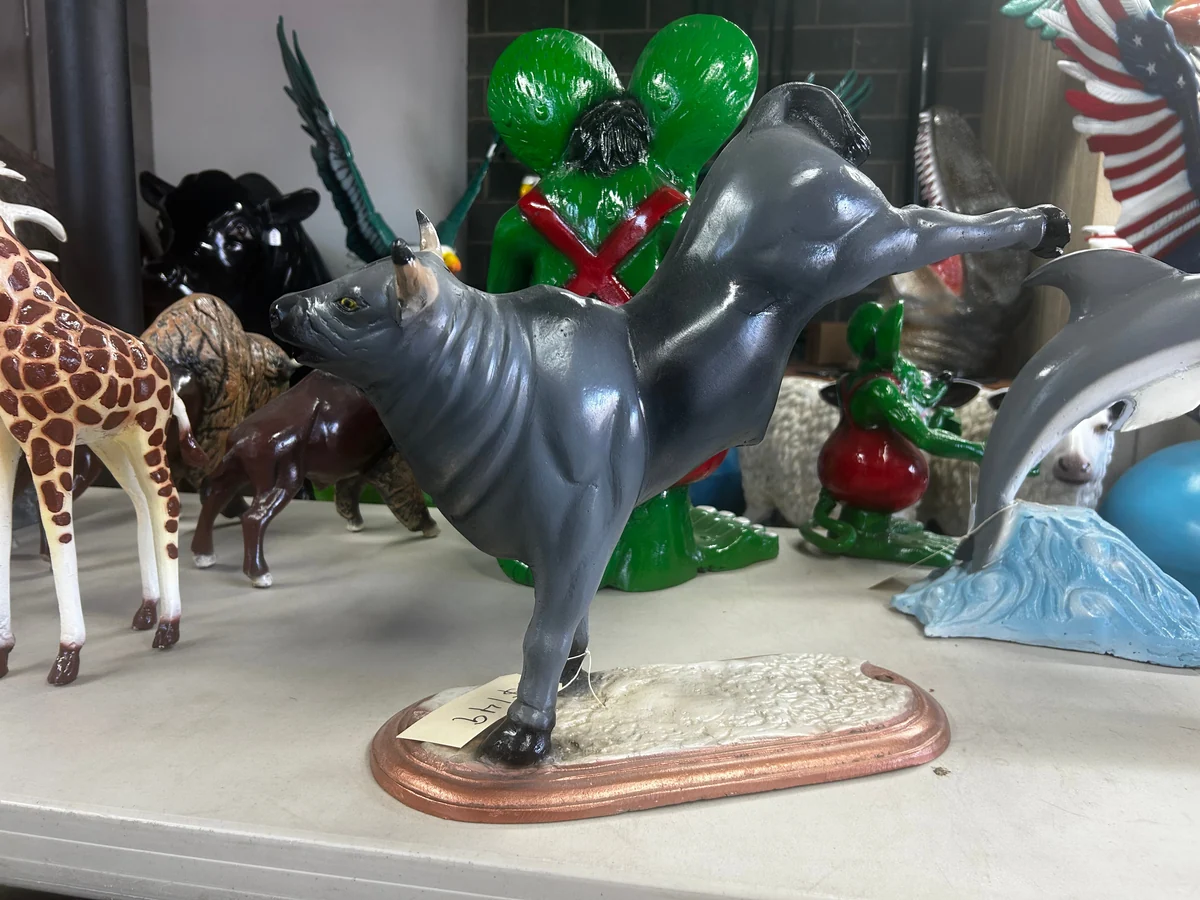 Mini Rodeo Bull