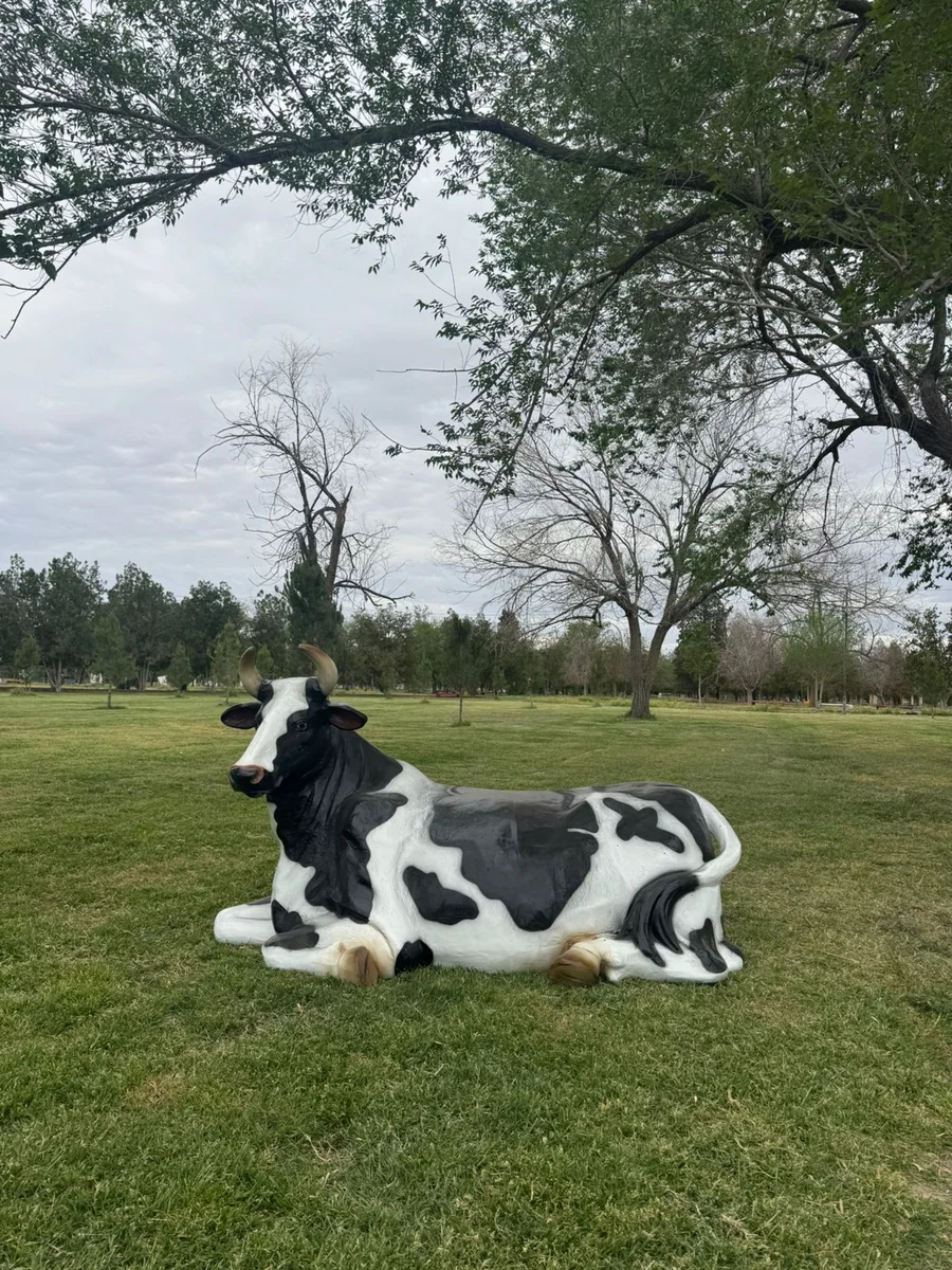 Lying Cow