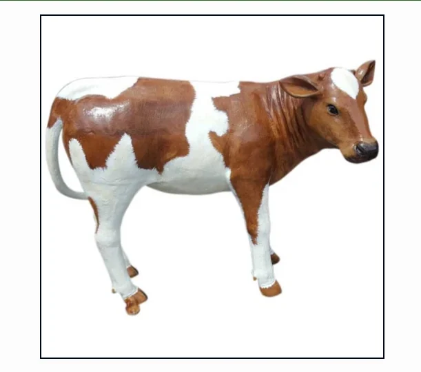 Calf