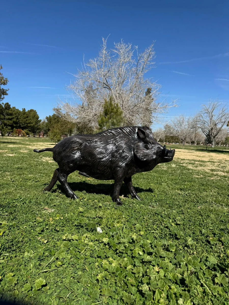 Wild Boar