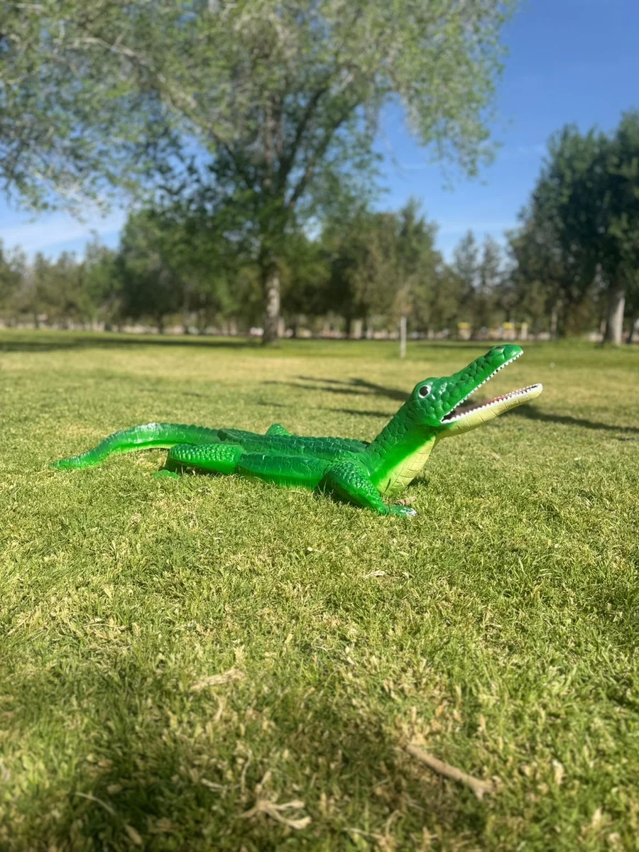 Flat Alligator #3