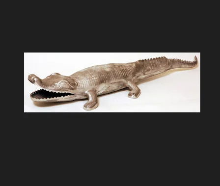 Crocodile