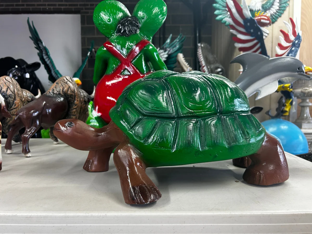Medium Turtle