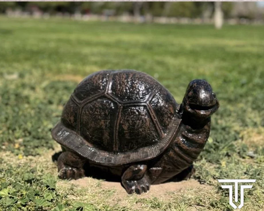 Sussy Turtle