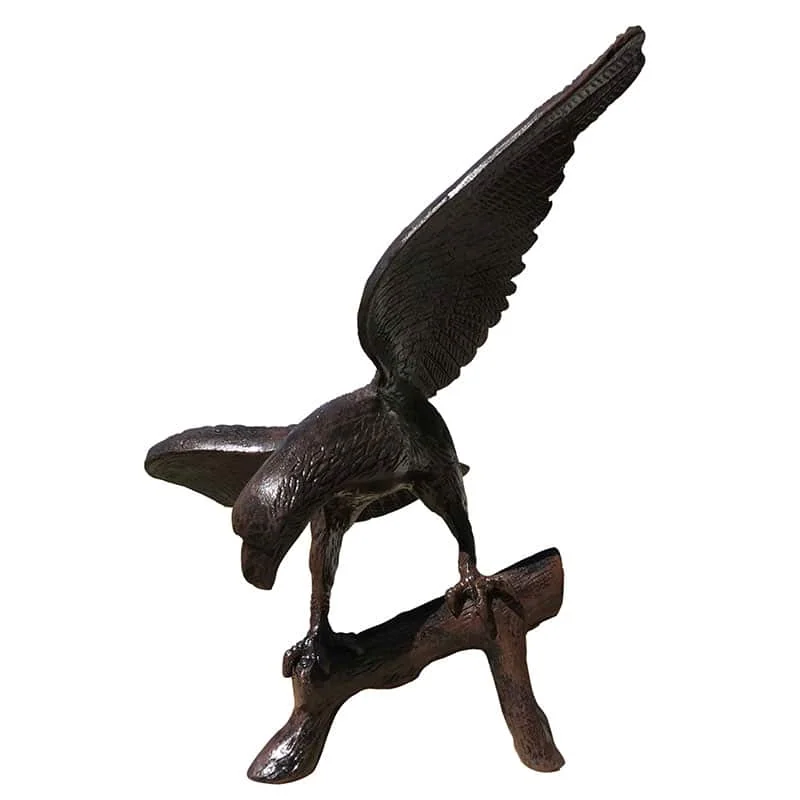 Small Eagle On Log