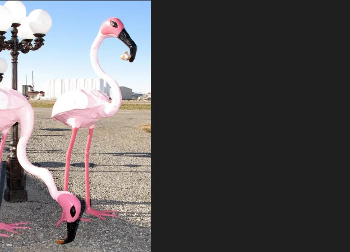XL Flamingo