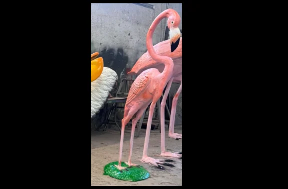 Flamingo