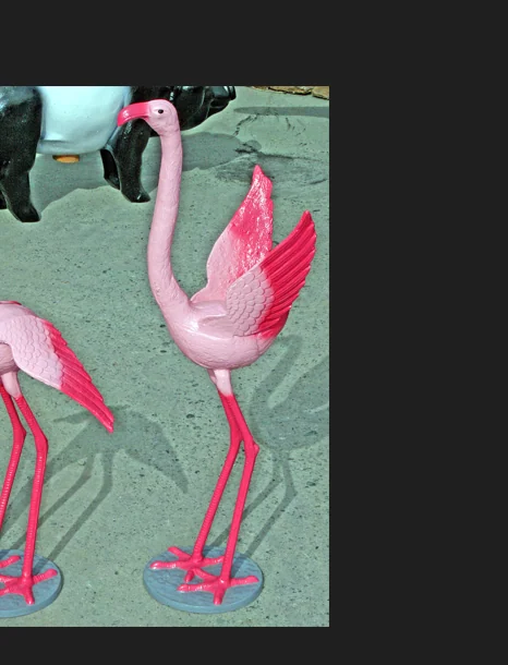 Small Flamingo