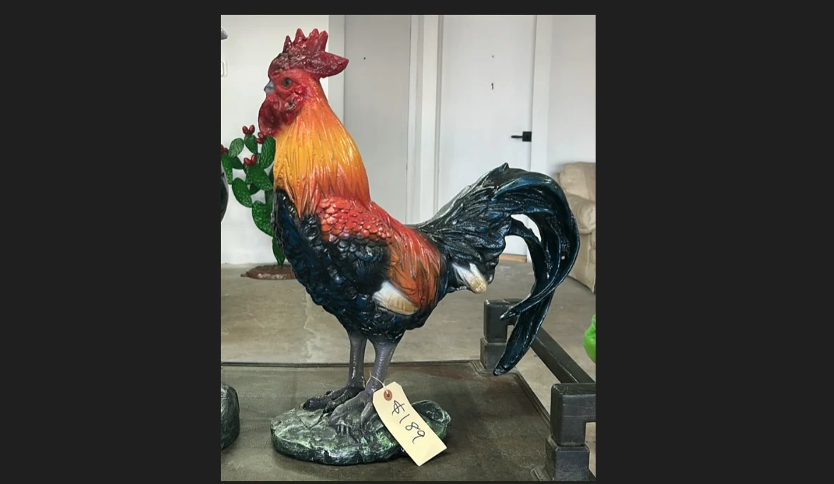 Rooster #2