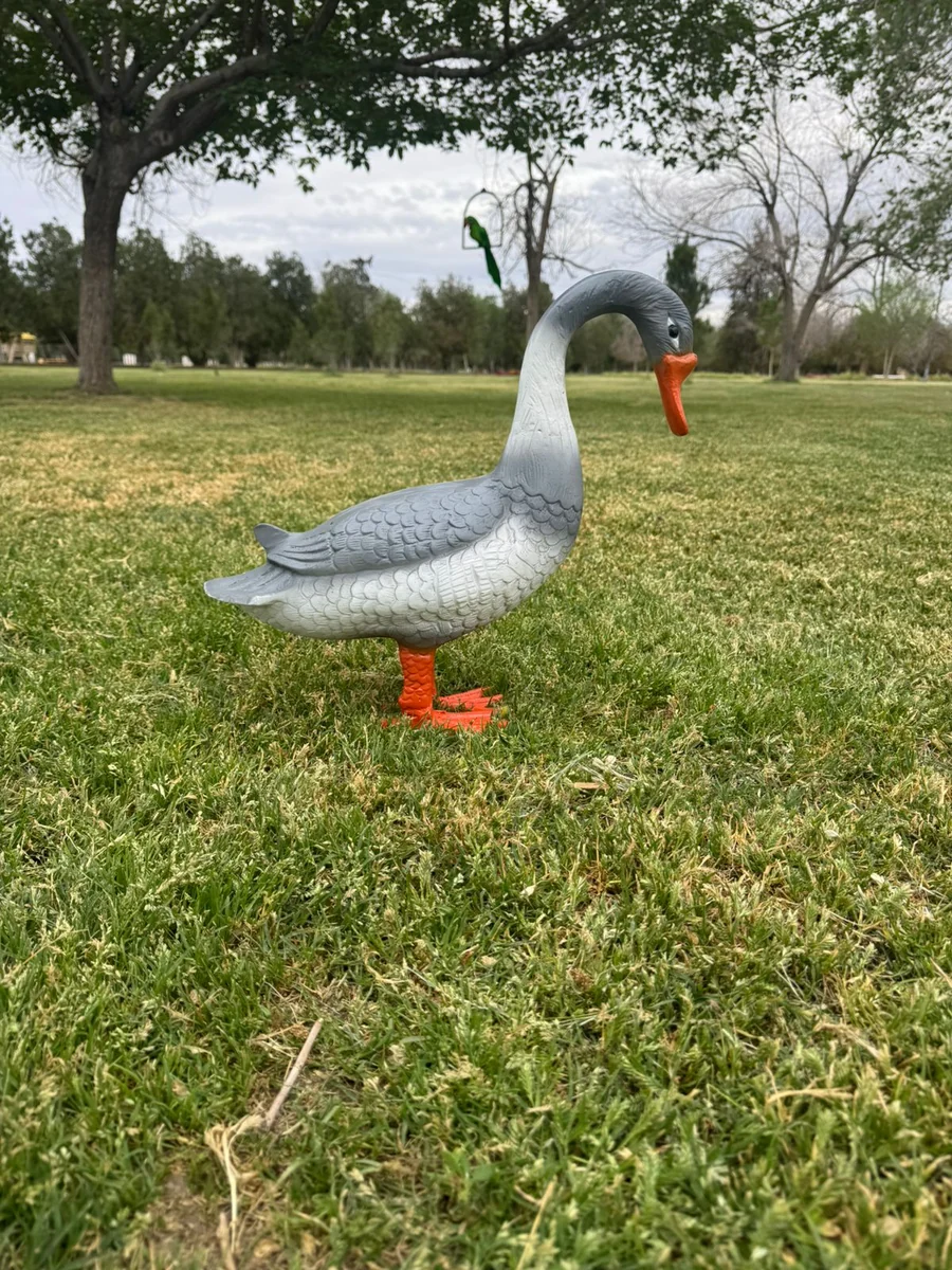 Feeding Goose