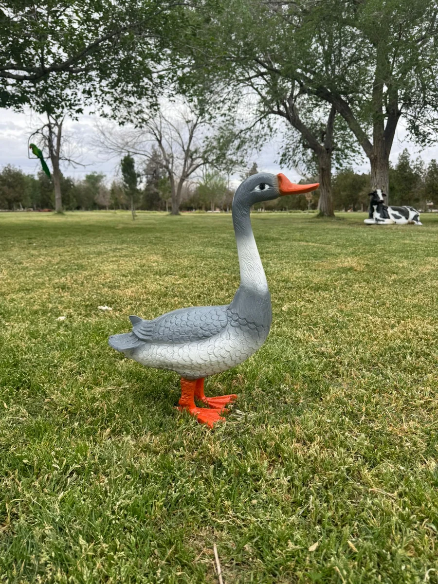 Goose
