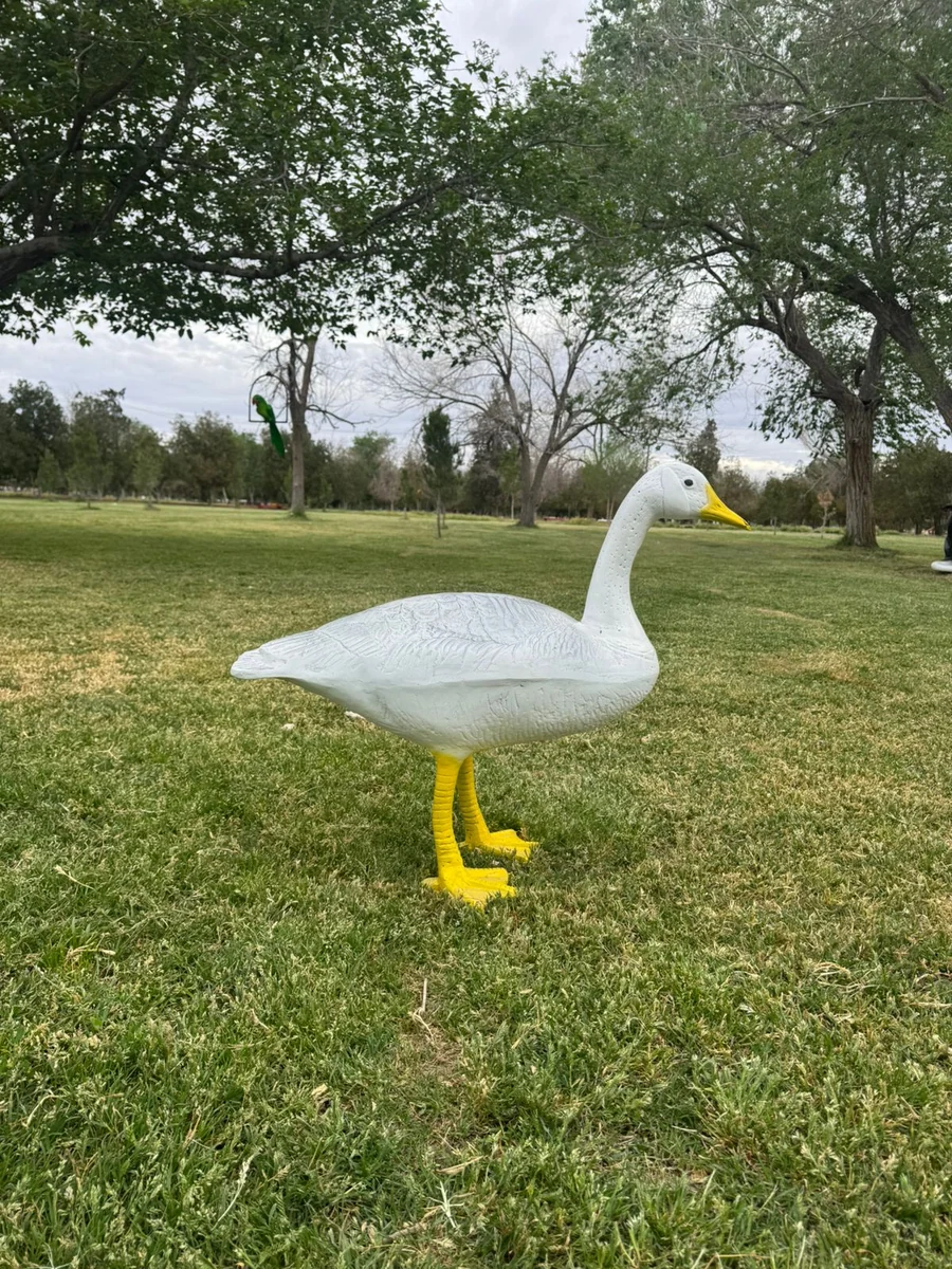 Lg. Goose
