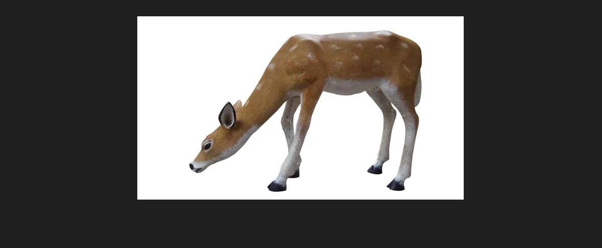 Medium Grazing Doe