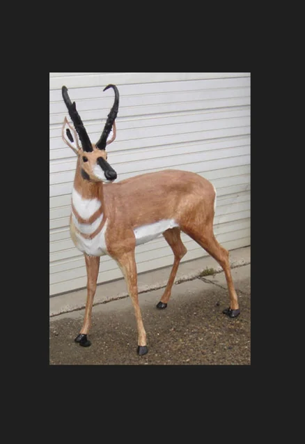 Antelope Buck