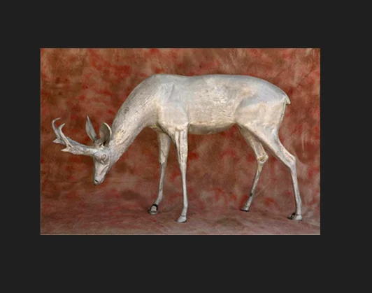 Antelope Buck Grazing