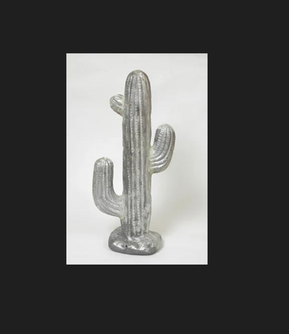 Small Cactus