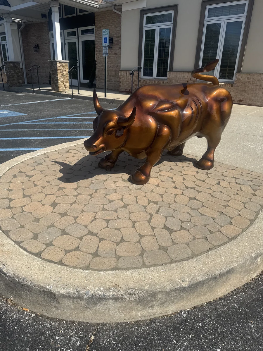 Wall Street Bull