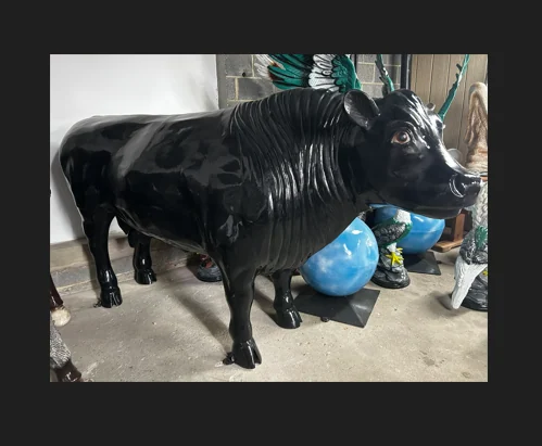 Angus Bull
