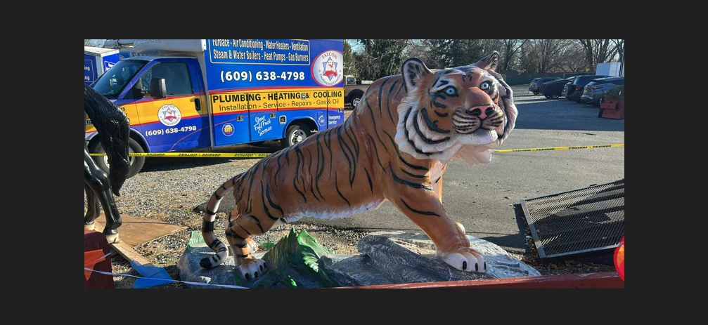 XL Tiger on rock
