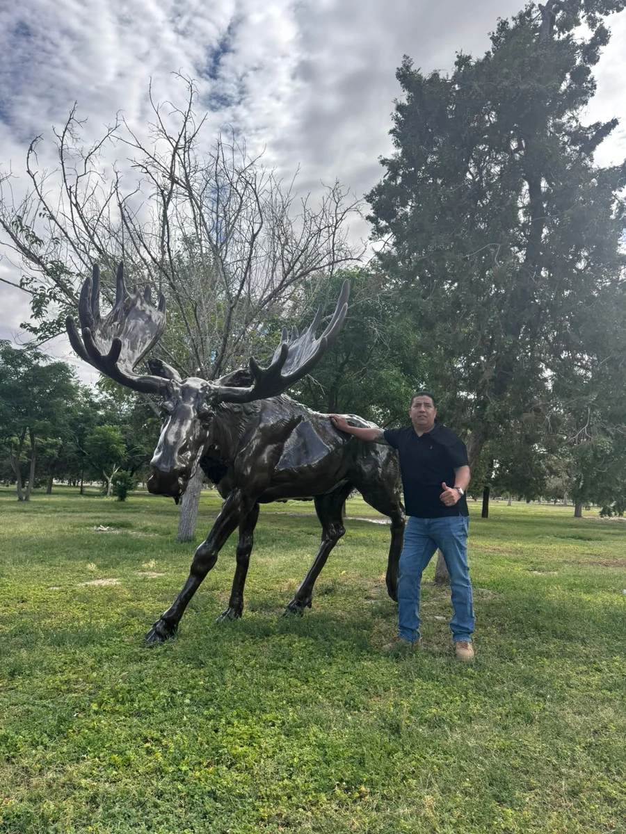 Giant Moose