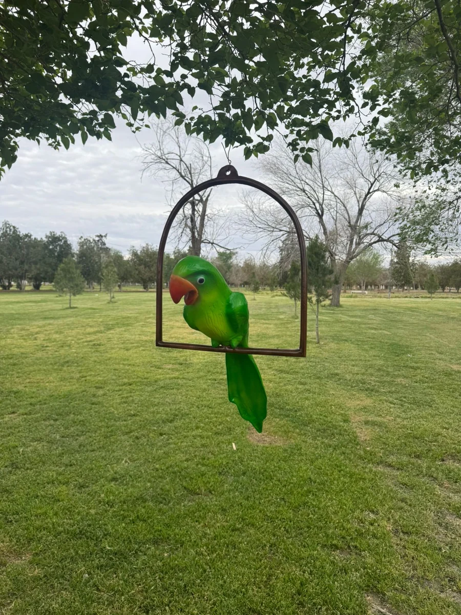 Parrot
