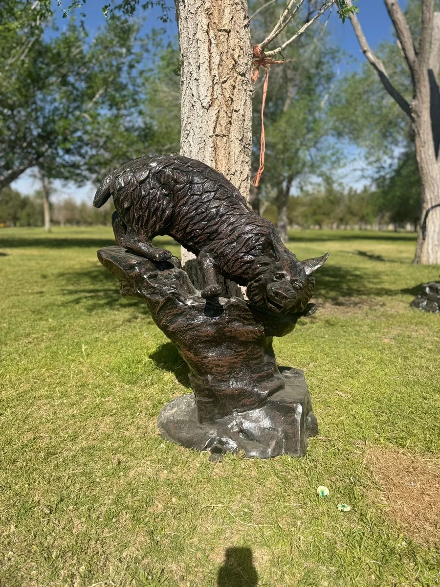Wildcat